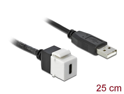 מתאם קיסטון USB 2.0 תקע USB-A לשקע USB-C על כבל 25 ס"מ - delock.israel