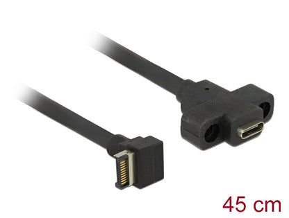 כבל USB-C 3.1 Gen 2 לפאנל תקע 20 פין לשקע USB-C עם מרחק בין הברגים 20 מ"מ - delock.israel