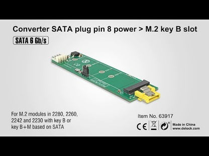 מתאם SATA עבור כונן דיסק M.2 SATA - delock.israel